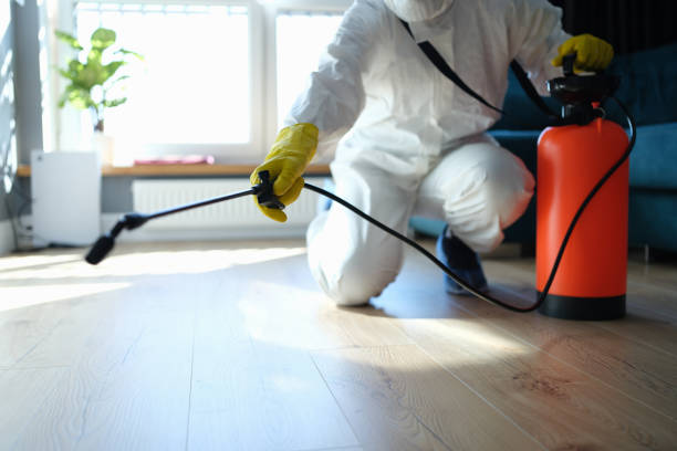 Reliable Biohazard contractor in Ridgewood, IL by Trauma Clean Pros